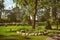 Beautiful panorama of the green city park. An ideal place to relax and rejuvenate. Rybinsk, Russia - August 02, 2020
