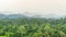 Beautiful panorama of hilly dense rain forest