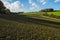 A beautiful panorama of new crops on farmland in Combe Valley, East Sussex, England