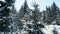 Beautiful panorama of snowy forest landscape in mountains with tall frozen fir trees covered by snow