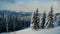 Beautiful panorama of snowy mountains landscape with snow covered forest.