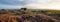 Beautiful panorama of a sunset illuminating a vast field covered in vibrant purple flowers