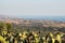 A beautiful panorama of the temple valley in Sicily