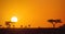 Beautiful panoramic african sunset in the Serengeti Park savannah plains, Tanzania, Africa