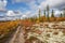 Beautiful panoramic landscape of forest-tundra, Autumn in the tundra. Yellow and red spruce branches in autumn colors on