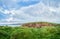 Beautiful panoramic landscape with spring grass, cliff and cows