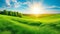 Beautiful panoramic natural landscape of a green field