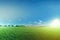 Beautiful Panoramic Natural Landscape Of A Green Field With Grass Against A Blue Sky With Sunshine Selective Focus. Generative AI