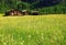 Beautiful panoramic postcard view of picturesque rural mountain scenery in the Alps with traditional old alpine mountain cottages