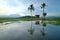 Beautiful panoramic rural landscape in the morning at paddy field