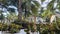 Beautiful panoramic view of Balinese beds in a Caribbean and tropical area with a pool and vegetation in the background.