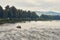 Beautiful panoramic view of the Dunajec river with rafting rafts and Pieniny National Park, Poland, in rainy foggy september day