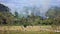 Beautiful panoramic view of farms and sugar cane fields burning in the mountains in Costa Rica with green jungle
