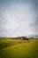 Beautiful panoramic view of a grassy hill with trees curiously shaped by the wind taken on a cloudy winter day, New Zealand