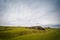 Beautiful panoramic view of a grassy hill with trees curiously shaped by the wind taken on a cloudy winter day, New Zealand