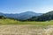 Beautiful panoramic view of green agriculture rice field with mo