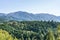 beautiful panoramic view of green japan pine tree line with mountains in the background in starting of Autumn in Nagano, central