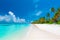 A beautiful panoramic view of Maldives island's tropical beach, showcasing its pristine white sand, lush palm trees