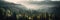 Beautiful panoramic view of misty forest in the mountains