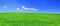 Beautiful panoramic view of peaceful grassland