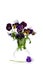 Beautiful pansies in transparent vase