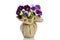 Beautiful pansies in a vase