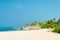 Beautiful paradise beach with tall palm trees and blue sky