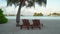 Beautiful Paradise Sandy Beach with Palm Trees and Wooden Deck Chairs