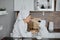 Beautiful parent and his daughter sit in kitchen with facial masks