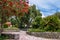 Beautiful park with blooming callistemon bush