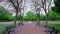 Beautiful park with blooming purple Jacaranda. Romantic magic atmosphere.