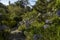 Beautiful park of Chalet Biester landmark location