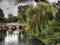 A beautiful park full of interesting colorful trees and a river with boating in autumn with a nice background