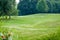 Beautiful park geen grass and trees background copyspace