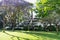 Beautiful park with jacaranda trees and green grass near residental building in Ramat-Gan, Israel