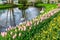Beautiful park Keukenhof with flower beds of flowering pink tulips and yellow narcissus, pond with swans and green lawns.
