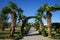 Beautiful park landscape with tropical vegetation in October. Dahab, South Sinai Governorate, Egypt