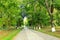 Beautiful park with nice promenade path and big green trees