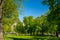 Beautiful park with people chilling under the sun in Boston North End Park and skyline in Massachusetts USA