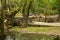 Beautiful park with a small bridge over a stream during spring