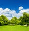 Beautiful park trees over blue sky. formal garden