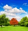 Beautiful park trees over dramatic blue sky