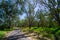 Beautiful parkland at Albury Botanic garden in New South Wales, Australia.