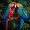 beautiful parrots