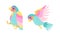 Beautiful Parrots Exotic Tropical Birds Set Cartoon Vector Illustration