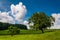 Beautiful partly-cloudy summer sky over trees and farm fields