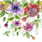Beautiful passion flowers passiflora with green leaves on white background. Seamless floral pattern. Watercolor painting.