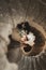 Beautiful, passionate wedding couple posing on stairs