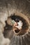 Beautiful, passionate wedding couple posing on stairs