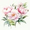 beautiful pastel dreamy Peony clipart illustration